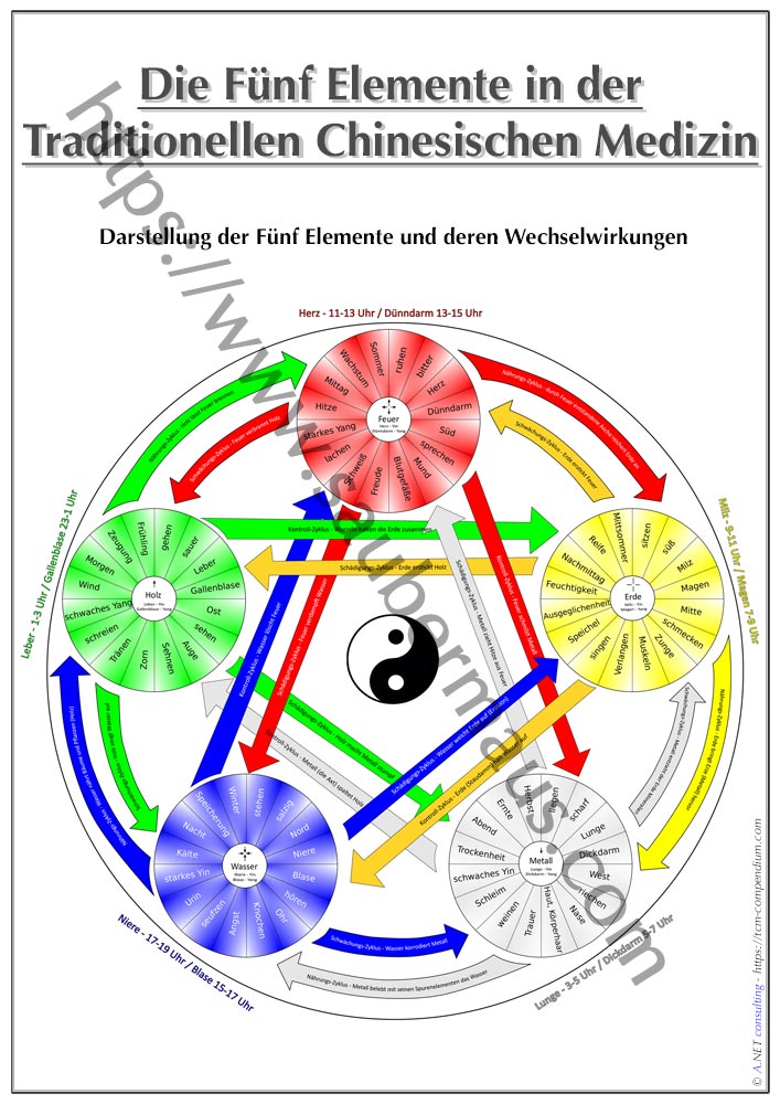 Oorgangs Elemente 5 Elemente-TCM-Poster DIN A4 bis A0 (als Download oder laminiert ...