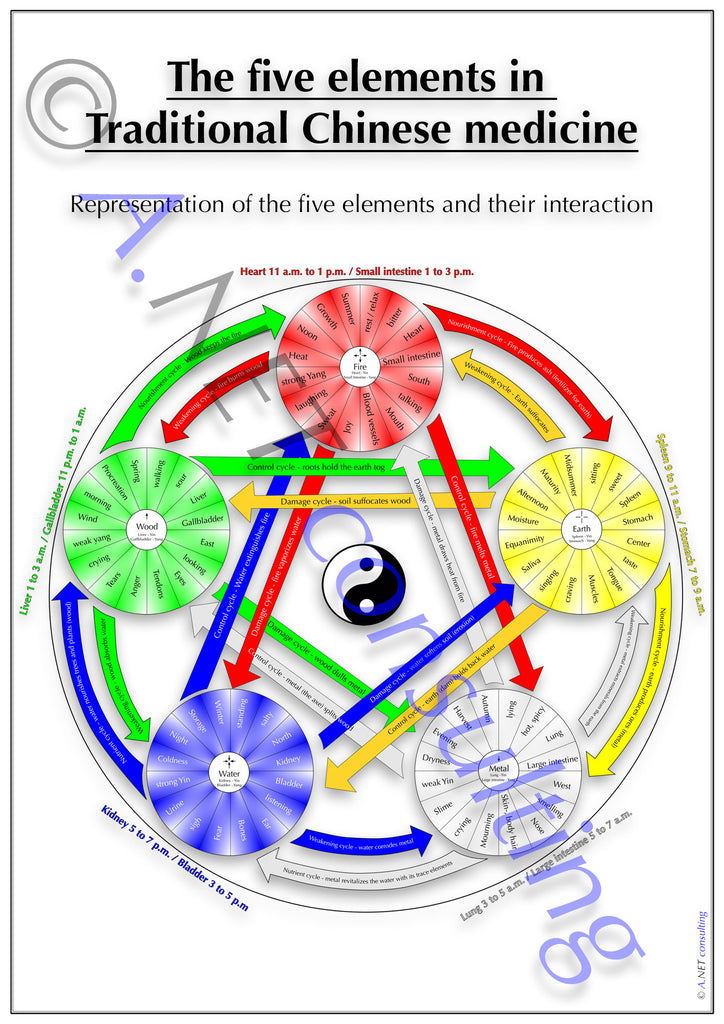 Traditional Chinese medicine Poster Five elements DIN A4 bis A0 (as download) (Kopie)