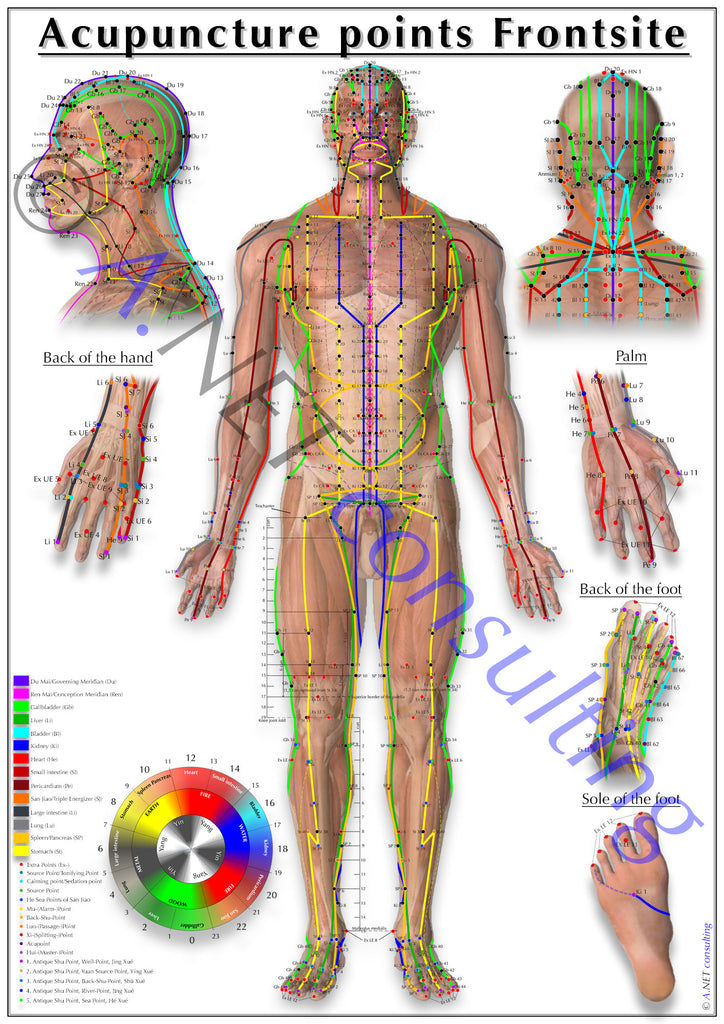 Acupuncture poster front side DIN A4 bis A0 (as download)