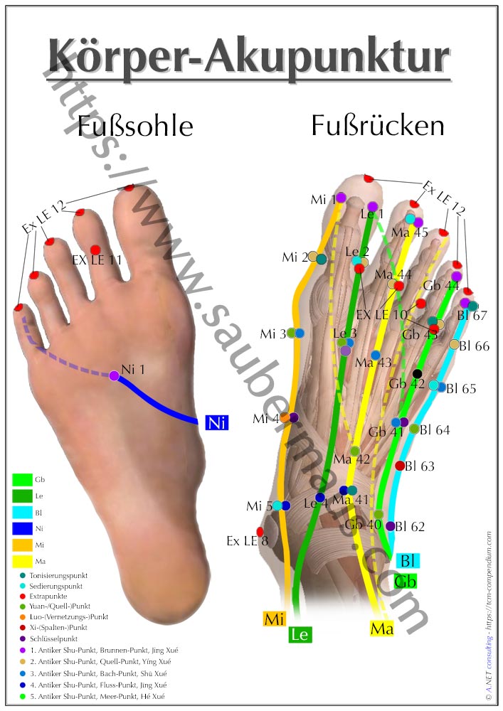 Akupunktur-Poster Füße DIN A4 bis A0 (als Download)