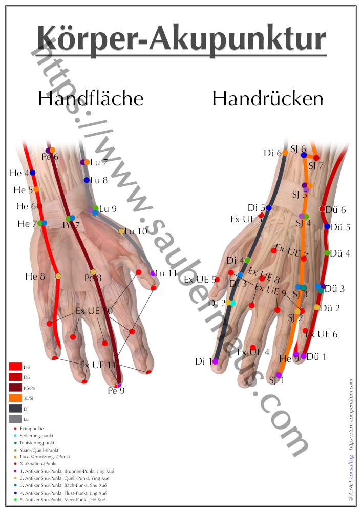 Akupunktur-Poster Hände DIN A4 bis A0 (als Download)