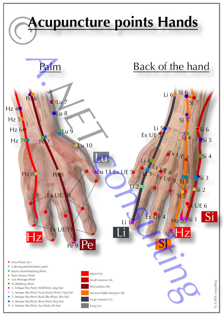 Acupuncture poster Hands DIN A4 to A0 (as download)