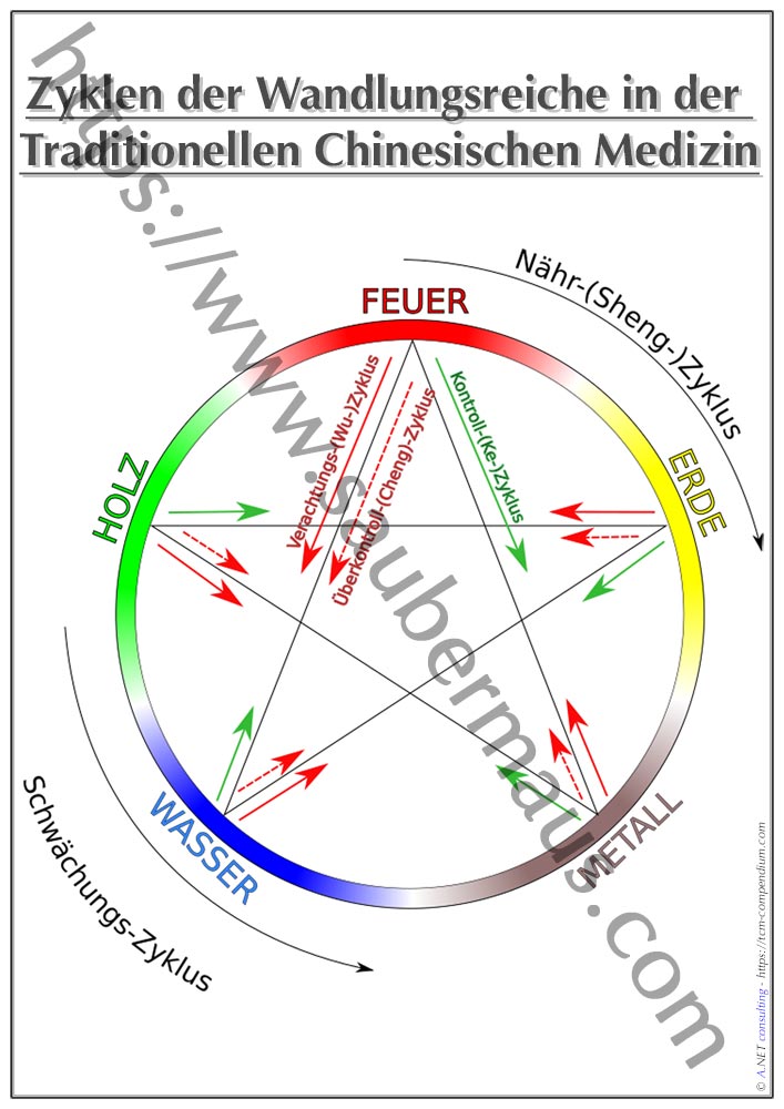 TCM-Poster Zyklus-Kreis DIN A4 bis A0 (als Download)