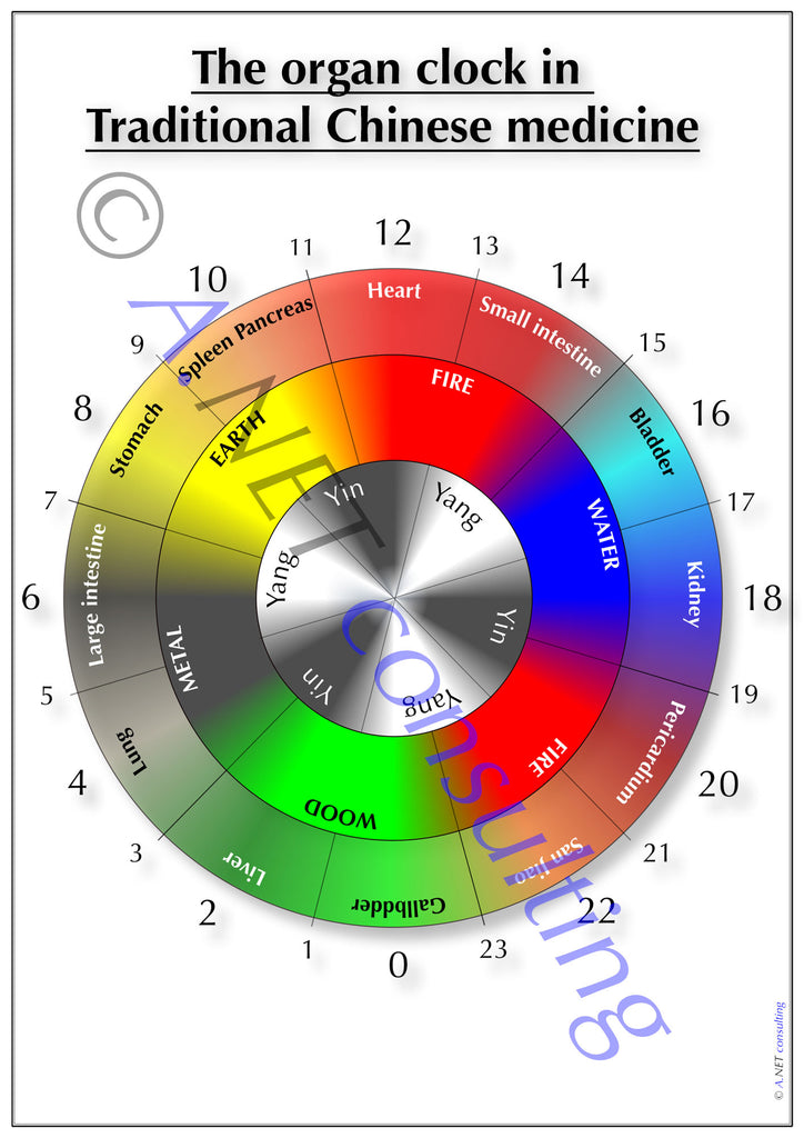 Traditional Chinese medicine Poster Organ clock DIN A4 bis A0 (as download)