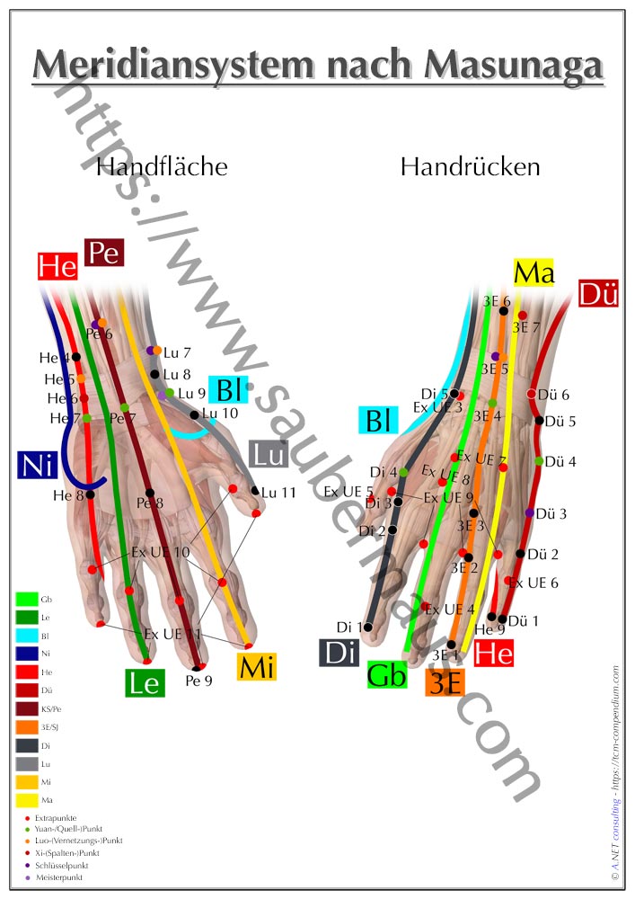 Shiatsu-Poster Hände DIN A4 bis A0 (als Download)