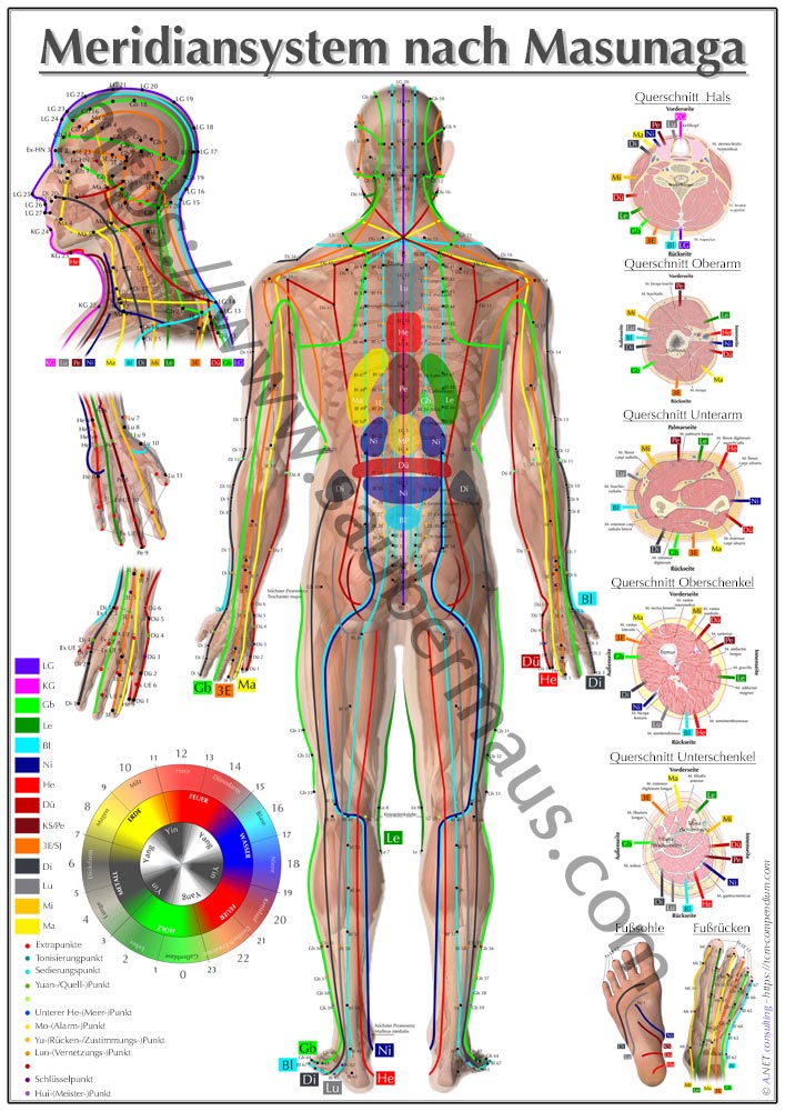 Shiatsu-Poster Rücken DIN A4 bis A0 (als Download)