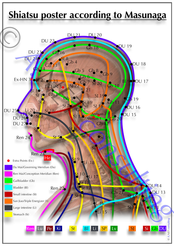 Shiatsu poster head DIN A4 bis A0 (as download)