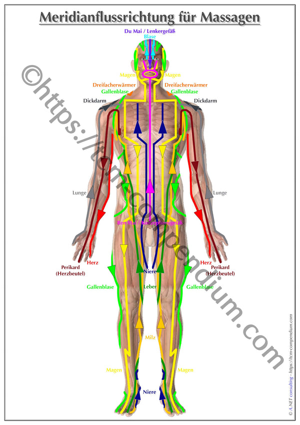 TCM-Poster für Massage Frontseite DIN A4 bis A0 (als Download)